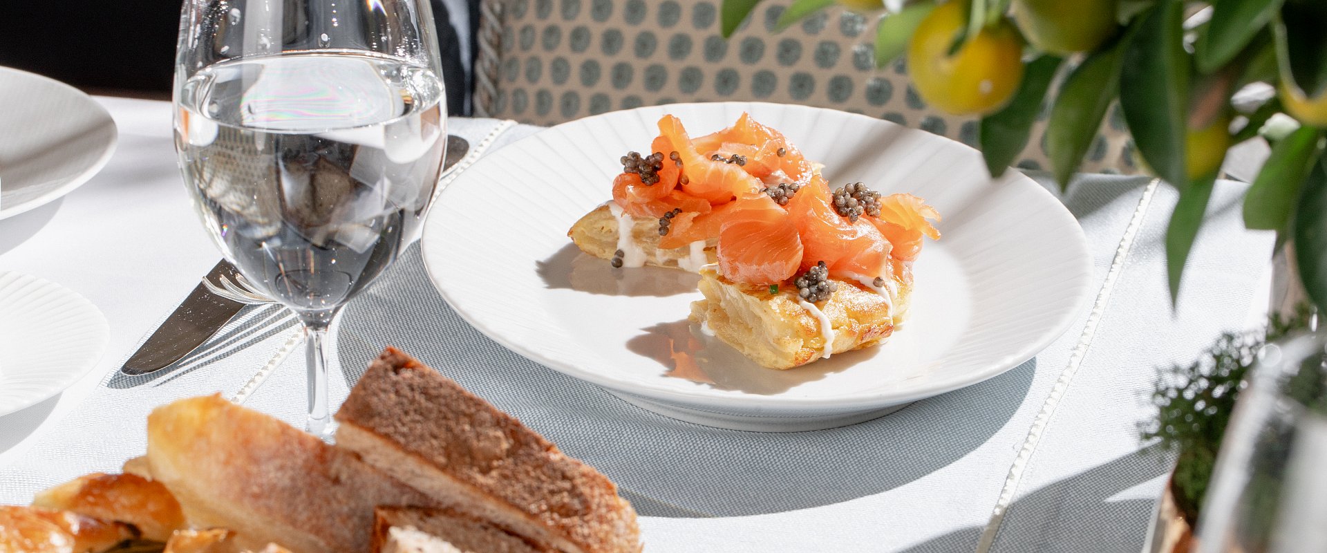 The St. Petersburg Breakfast Festival at the Lion Palace