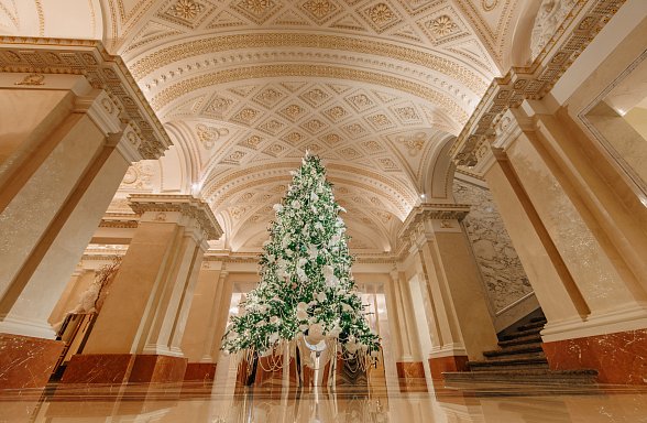 The Grand Night of the Winter Fairy Tale: Фото.